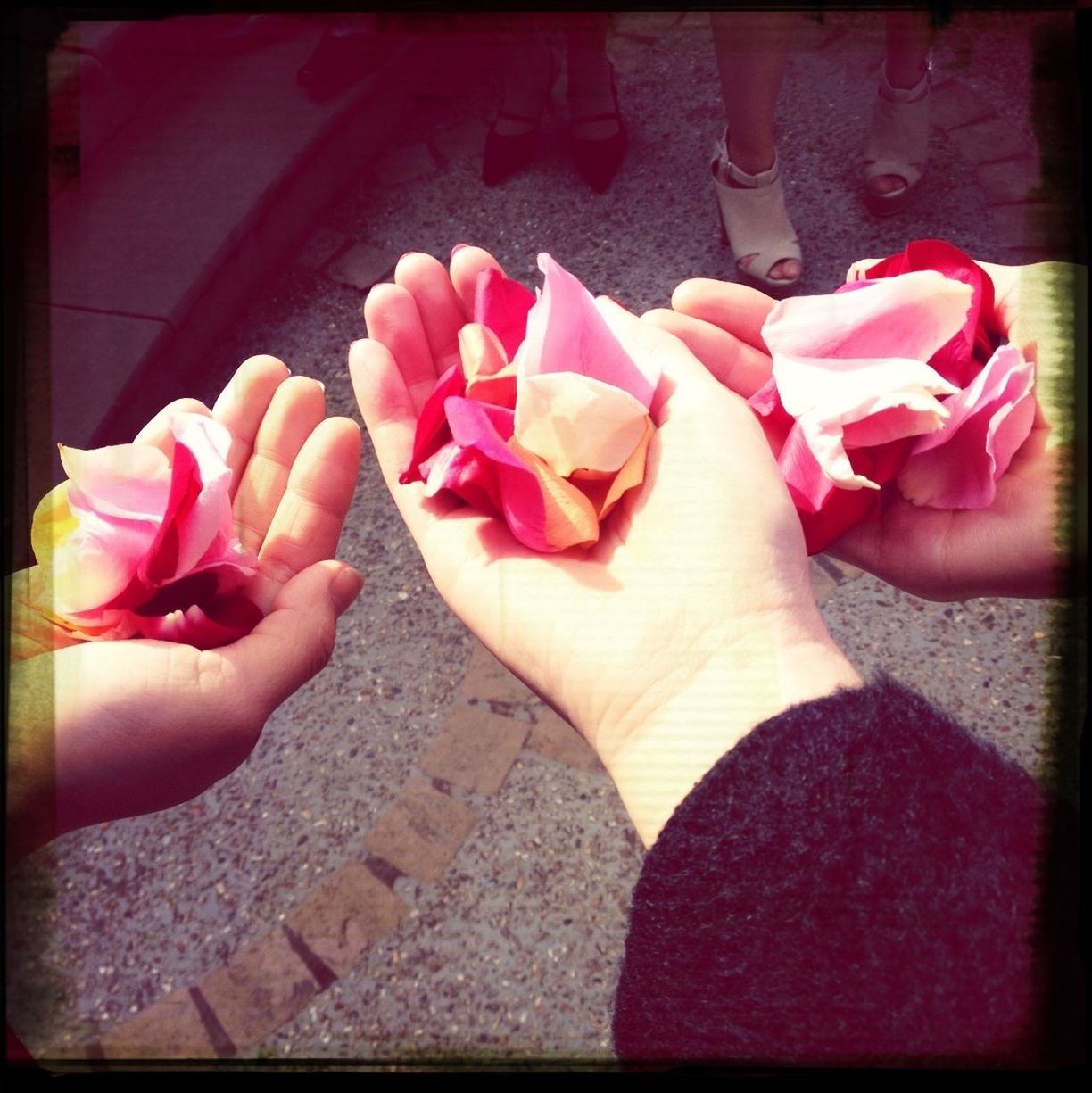 transfer print, person, low section, indoors, auto post production filter, red, lifestyles, human foot, personal perspective, part of, high angle view, flower, pink color, leisure activity, barefoot