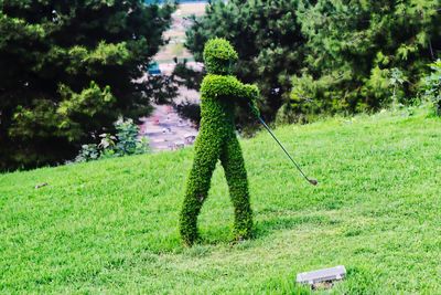 Human representation made with plants on grass