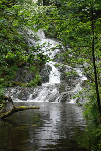 Scenic view of river flowing through rocks