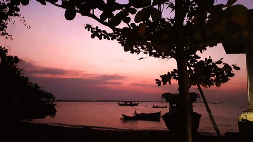 Silhouette tree by sea against sky during sunset