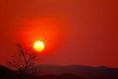 Scenic view of sunset