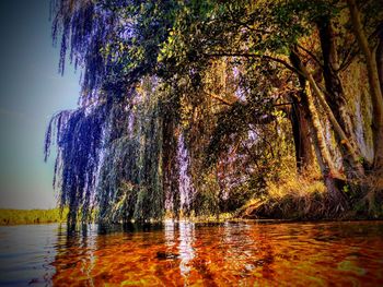 Trees by lake against sky during autumn