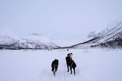 People walking on snow covered mountain against clear sky