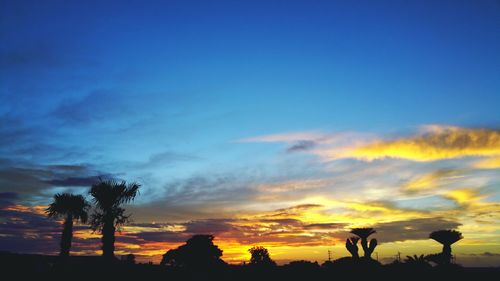 Silhouette trees against sky during sunset