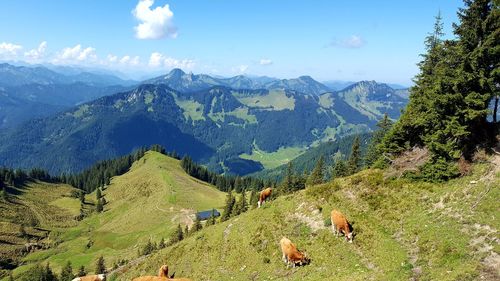 Scenic view of mountains