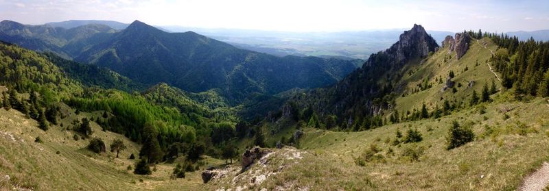 Landscape with mountain range in background