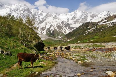 Scenic view of mountains against sky