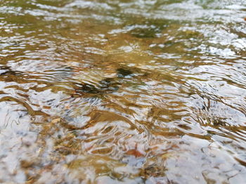 Full frame shot of rippled water