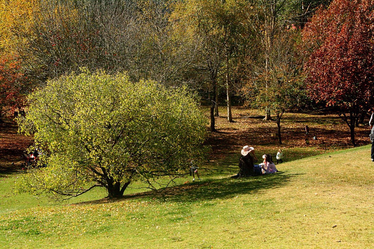 Picnic Autumn