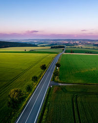 Road to the city among the fields, lined with trees, summer, czech republic