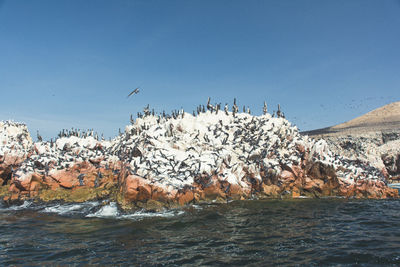 Scenic view of landscape against clear blue sky