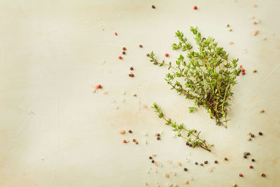 High angle view of chopped vegetables on table