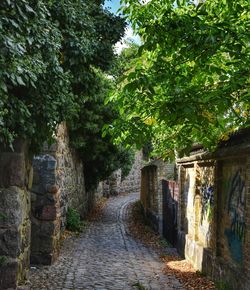 Narrow alley amidst old building