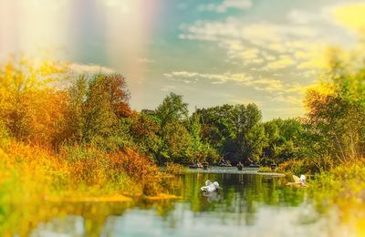 Scenic view of lake against sky during autumn