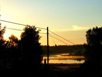 Silhouette of trees at sunset