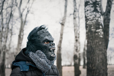 Close-up of person wearing gorilla mask