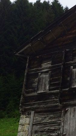 abandoned, old, built structure, obsolete, architecture, damaged, run-down, deterioration, wood - material, weathered, tree, house, building exterior, bad condition, steps, day, wooden, broken, wood, no people