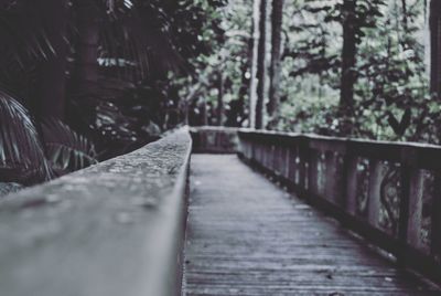 Footbridge in forest