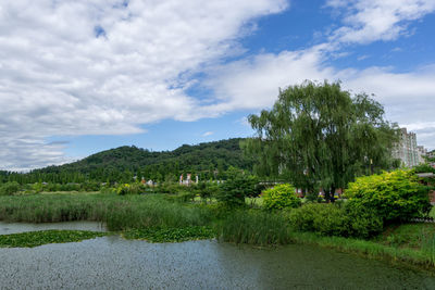 Scenic view of lake by trees against sky