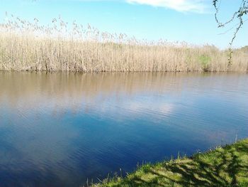 Scenic view of lake against blue sky