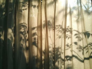 Detail shot of curtained window