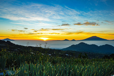 Scenic view of field against sky during sunset