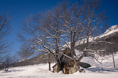 Chalet and bare trees on snow covered land against sky