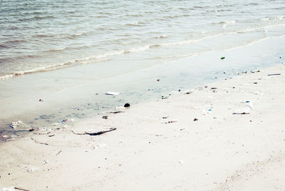 High angle view of beach
