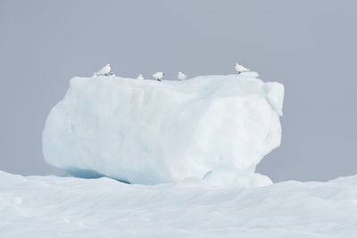 Close-up of smoke stack against white background