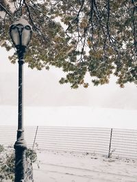 Low angle view of street light against sky during winter