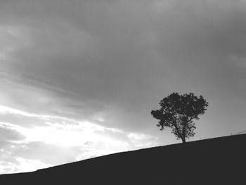 Low angle view of silhouette tree against sky