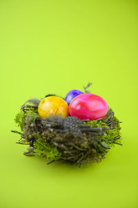 Close-up of fruits against white background