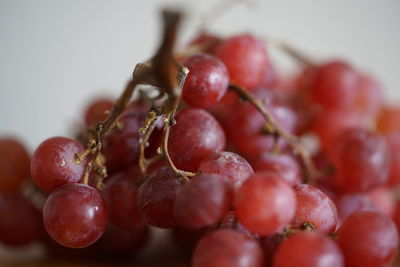 Close-up of grapes