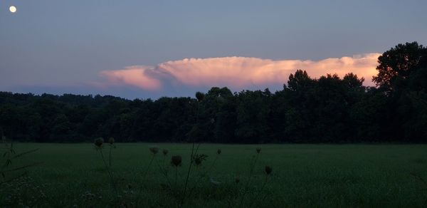 Scenic view of field against sky during sunset