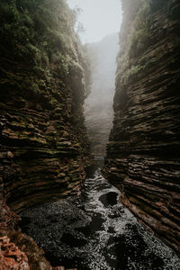 Scenic view of waterfall in forest