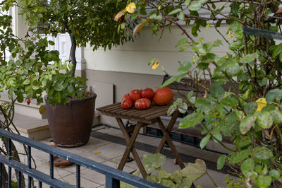 High angle view of fruits on table