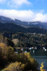 Scenic view of lake by trees against sky