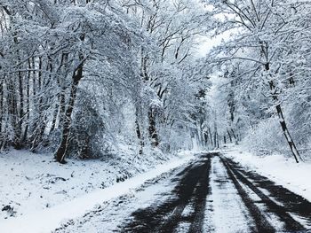 Close-up of snow covered landscape