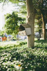 View of tree trunk in park