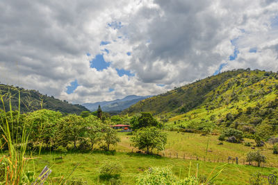 Scenic view of field against sky