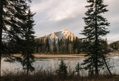 Scenic view of river by trees and mountain against cloudy sky