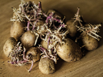 Close up of potatoes