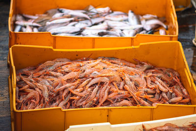 Freshly just caught shrimps and other fish in plastic crates on a fishing wooden boat