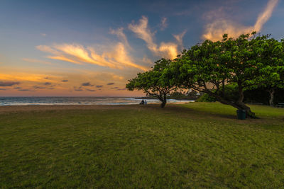 A beautiful hawaiian sunrise