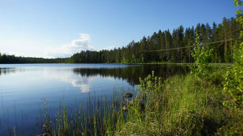 Scenic view of lake in forest against sky