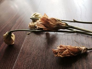 Close-up of dry flowers on table