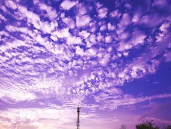 Low angle view of tree against sky