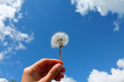 Low angle view of hand holding dandelion against sky