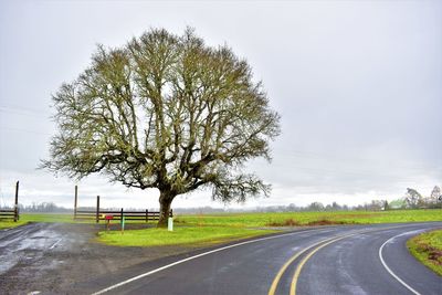 Empty road by trees against sky