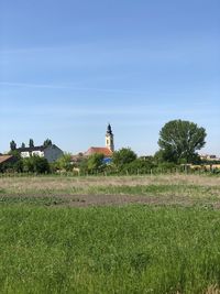 Plants growing on field against building